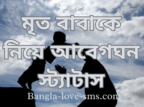 মৃত বাবাকে নিয়ে আবেগঘন স্ট্যাটাস