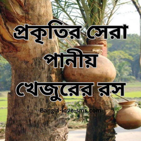 খেজুরের রস নিয়ে ক্যাপশন