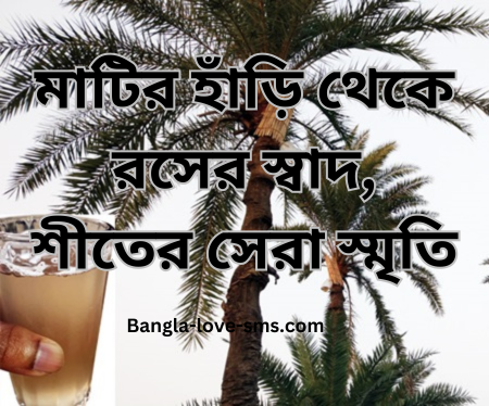 খেজুরের রস নিয়ে স্ট্যাটাস