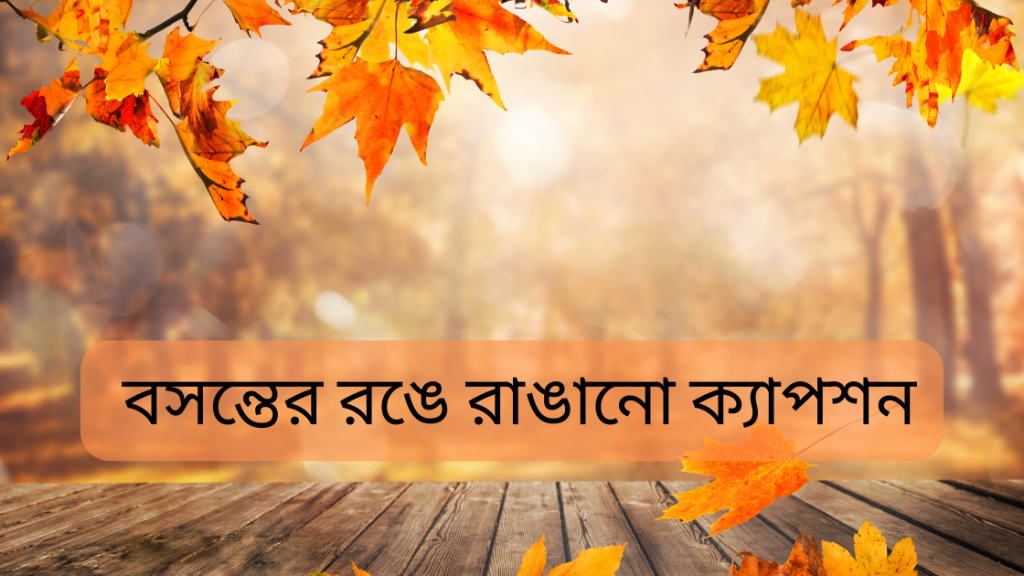 Boahonto niye caption 1 