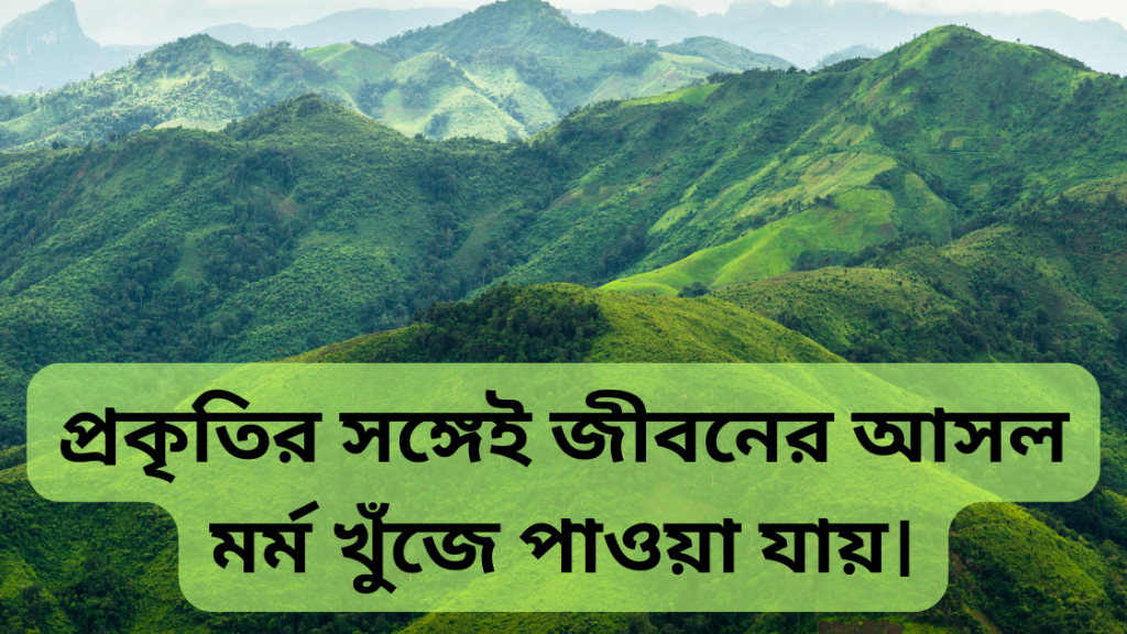 pahar niye caption 4