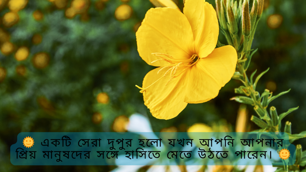 dupur belar shubeccha