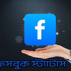 facebook status