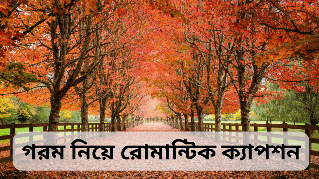 gorom niye caption 2