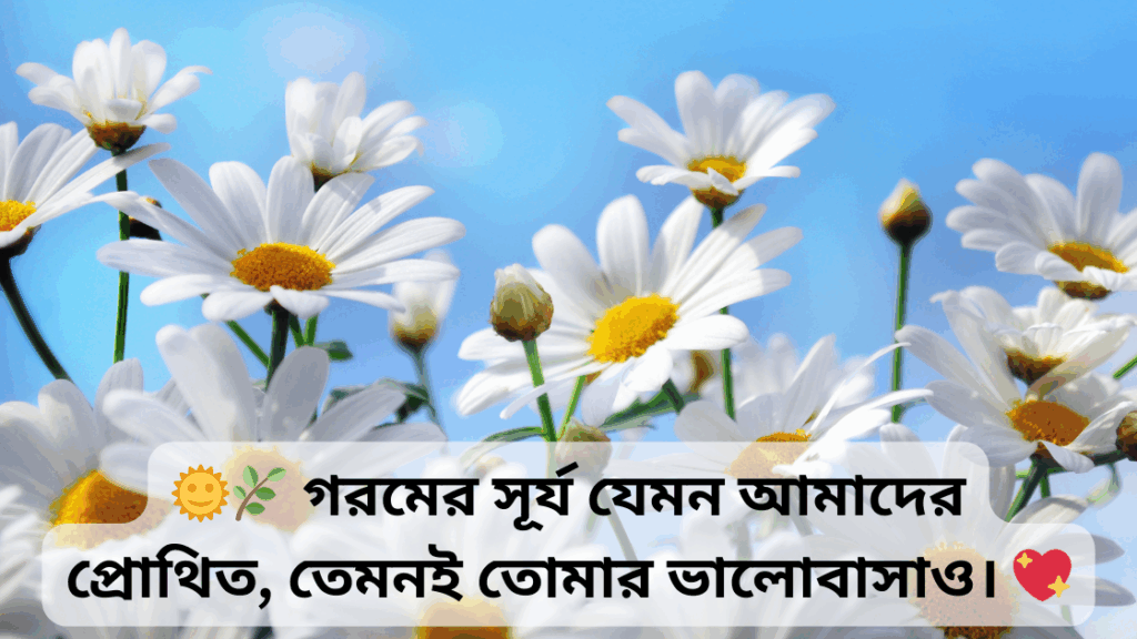gorom niye caption 7