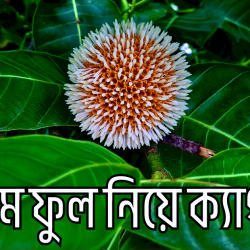 kodom ful niye caption