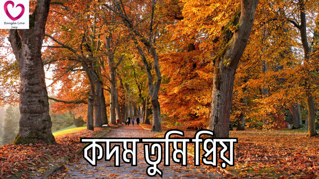 kodom ful niye caption