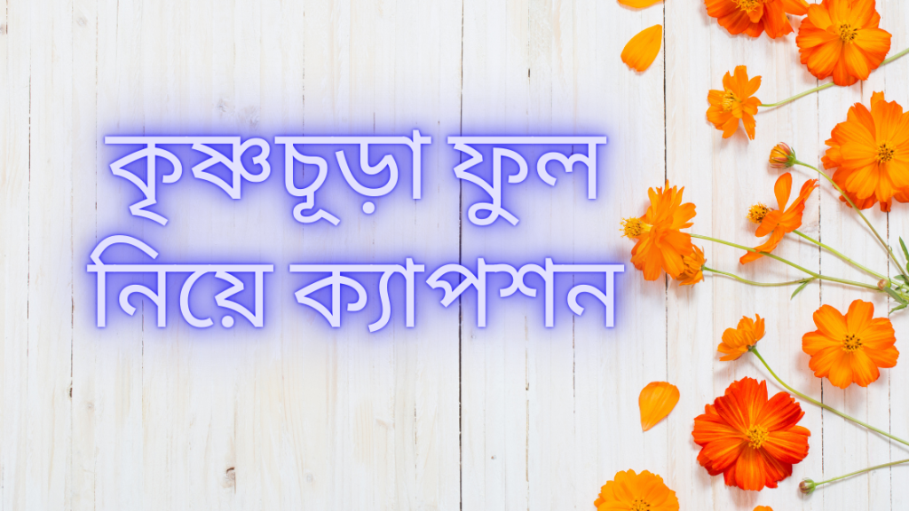 krishnochura-ful-niye-caption
