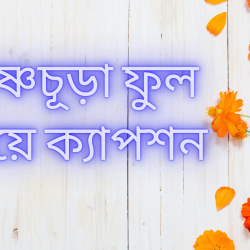 krishnochura-ful-niye-caption