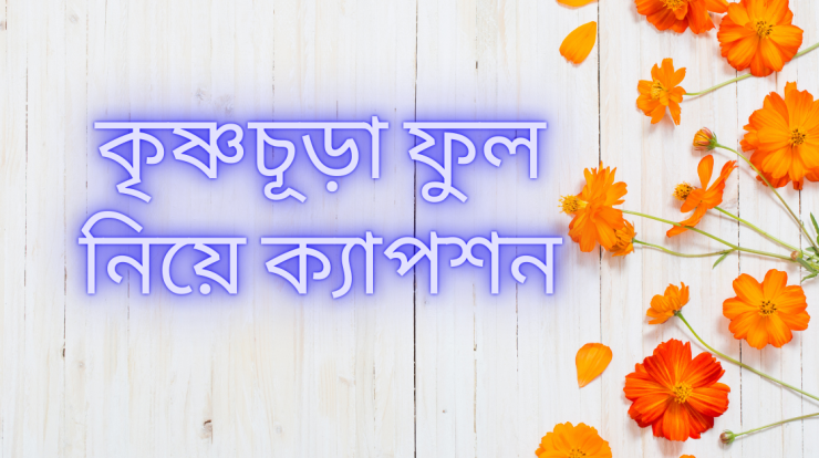 krishnochura-ful-niye-caption