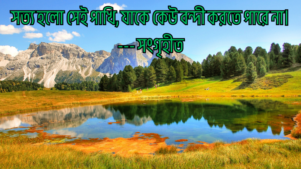 shotto kotha niye ukti