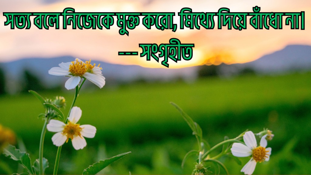 shotto kotha niye ukti