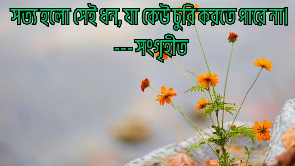 shotto kotha niye ukti