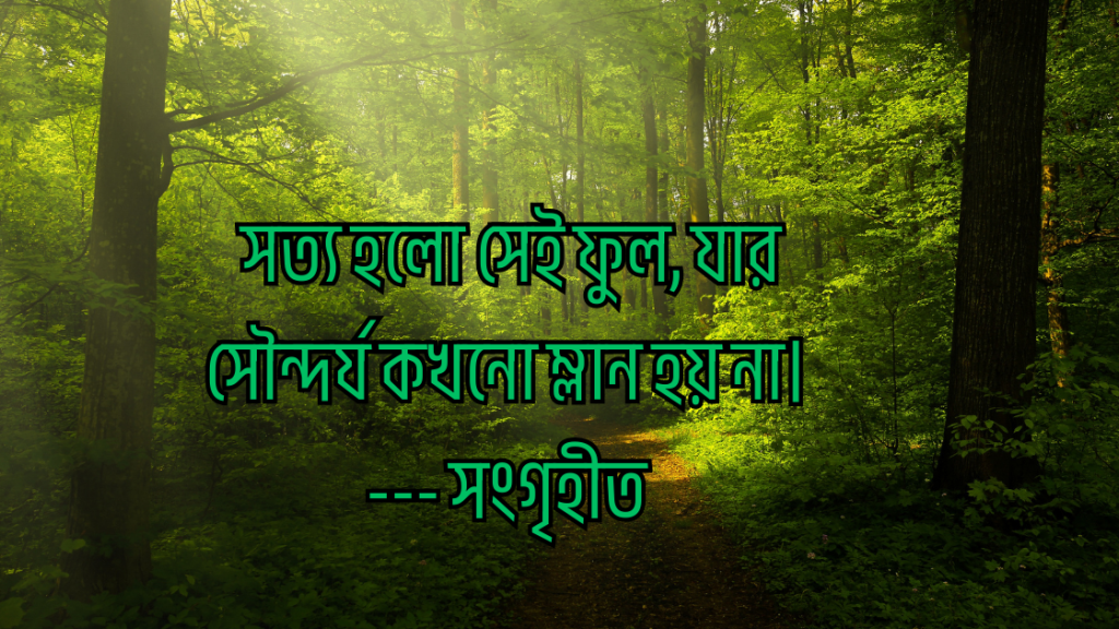 shotto kotha niye ukti