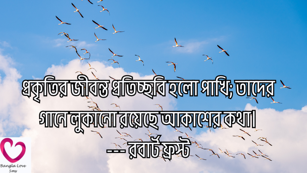 pakhi niye caption