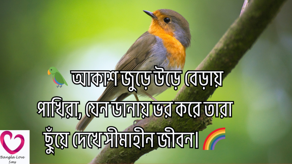 pakhi niye caption