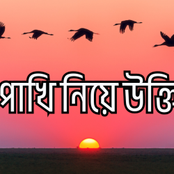 pakhi niye caption