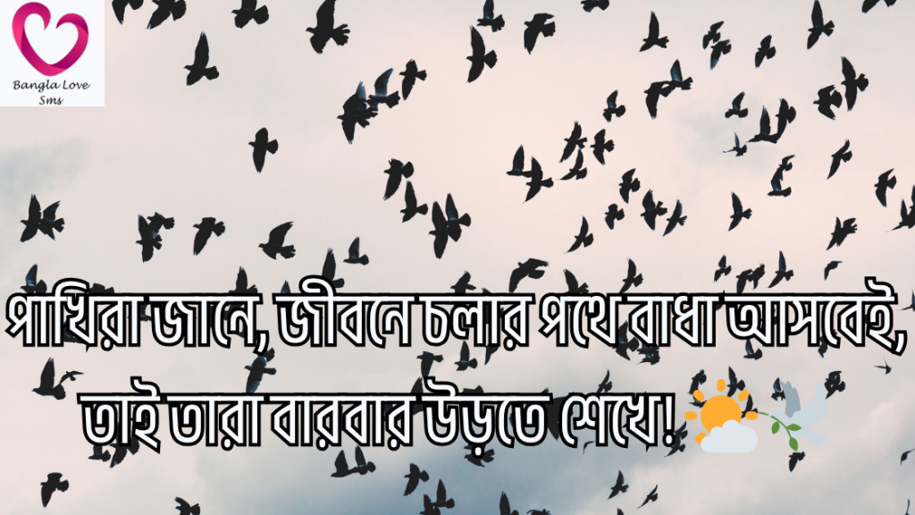 pakhi niye caption
