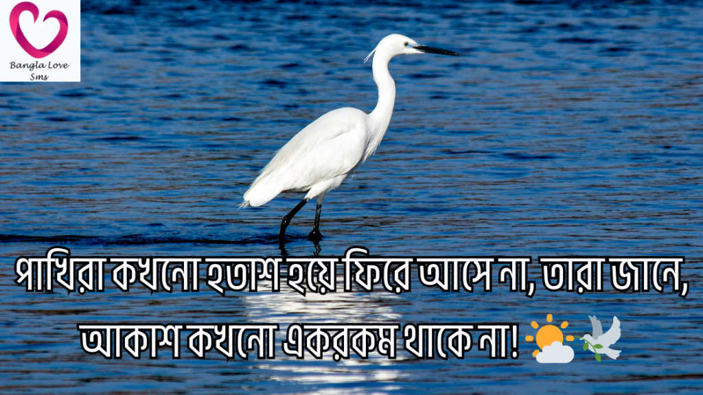 pakhi niye caption