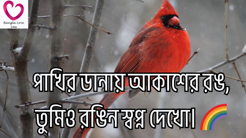 pakhi niye caption