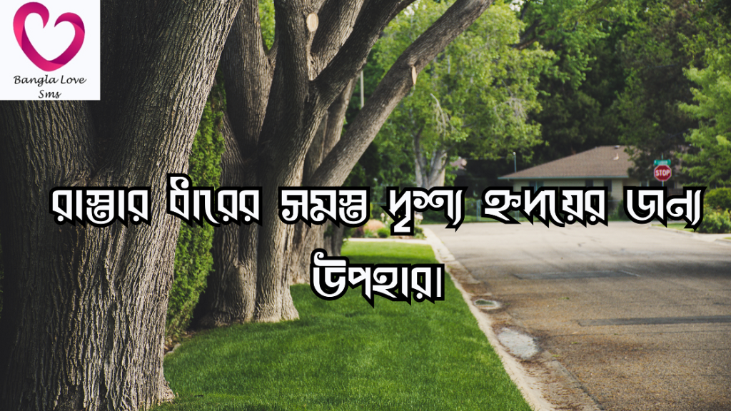 রাস্তা নিয়ে ক্যাপশন