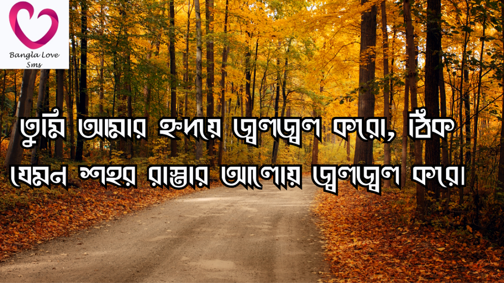 রাস্তা নিয়ে ক্যাপশন